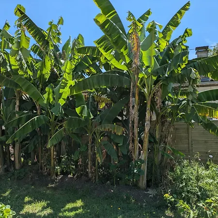 L'oasis Girondine 4 Etoiles Izon