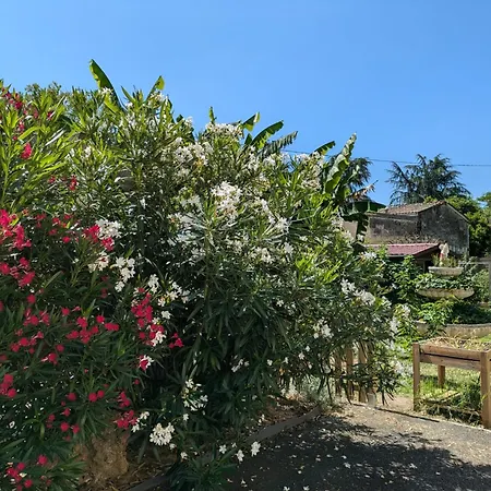 L'oasis Girondine 4 Etoiles Izon