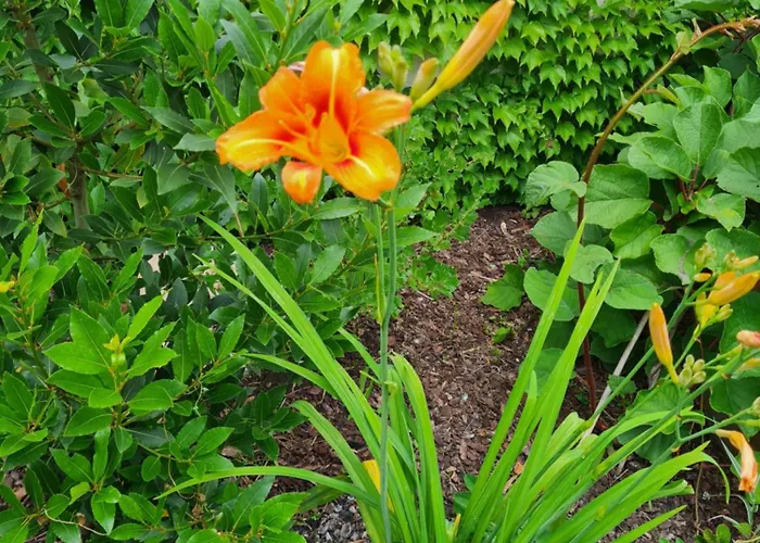 L'oasis Girondine 4 Etoiles Izon