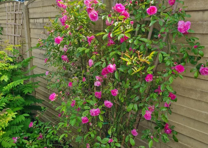 L'oasis Girondine 4 Etoiles