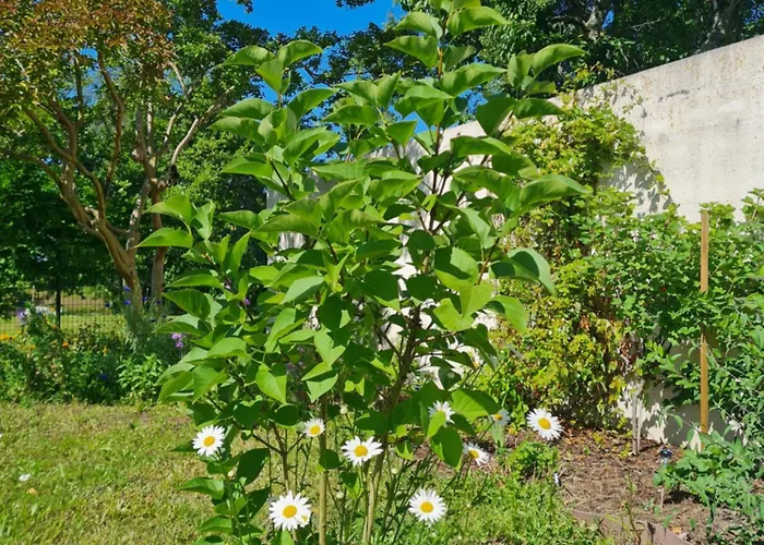 L'oasis Girondine 4 Etoiles *