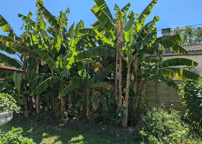 L'oasis Girondine 4 Etoiles Izon