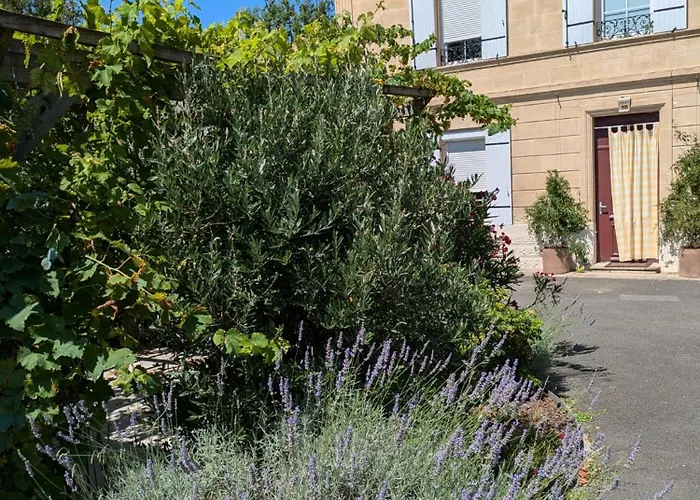 L'oasis Girondine 4 Etoiles Izon