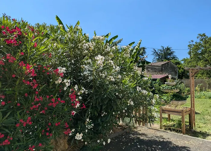 L'oasis Girondine 4 Etoiles Izon